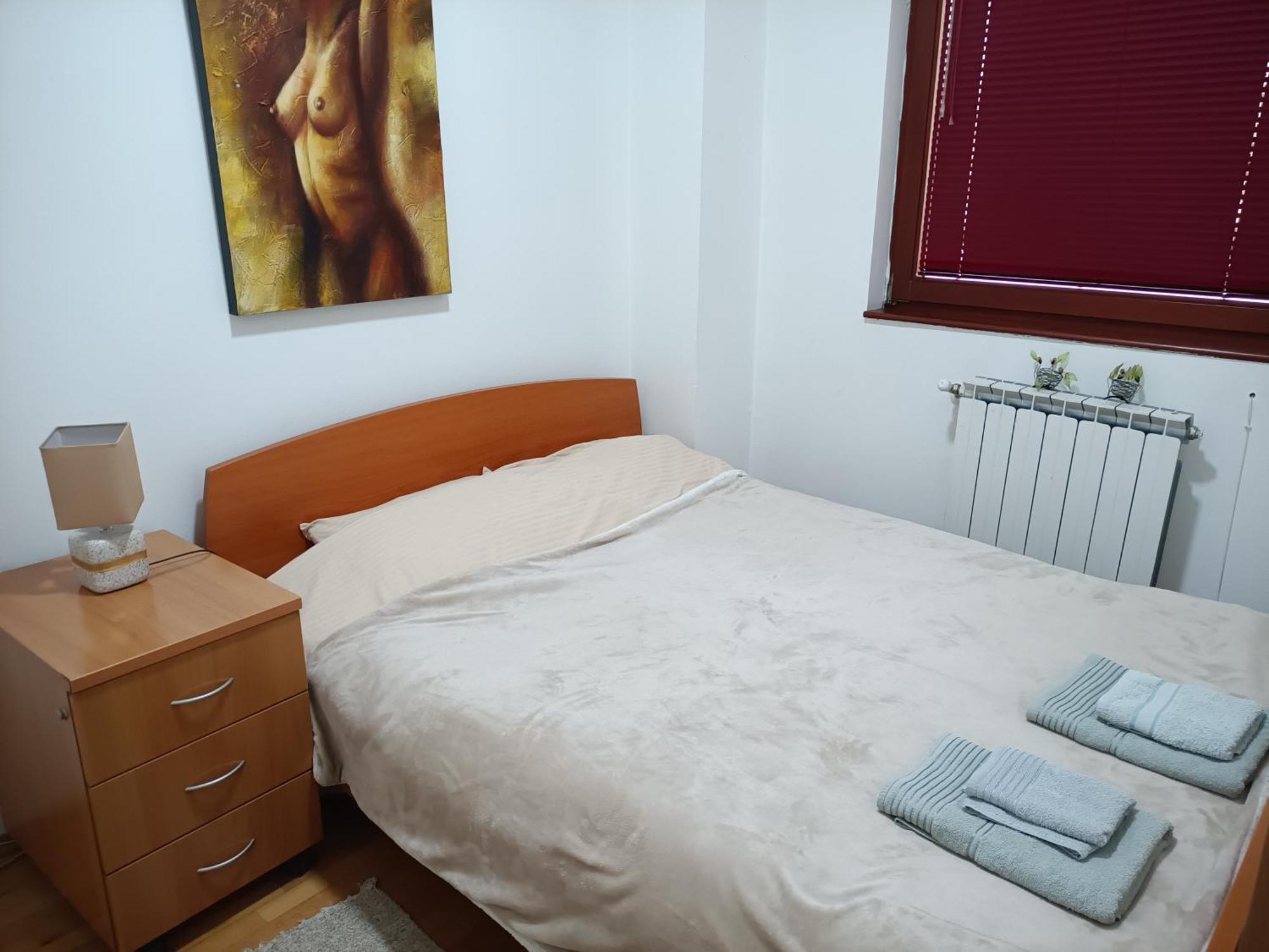 Centar Apartment Aleks Skopje Zewnętrze zdjęcie